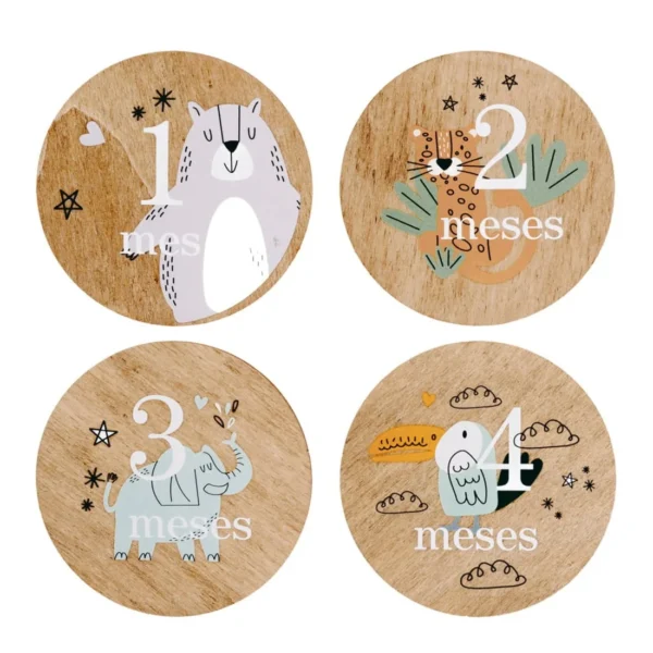 Set Placas Cumplemés Bebé