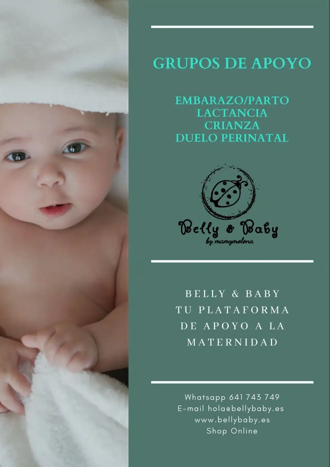 Grupos de Apoyo a la Maternidad y Crianza