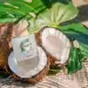 Aceite de Coco Orgánico Lovea
