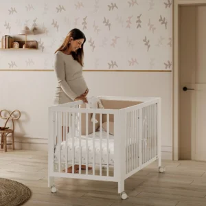 Cuna Evolutiva Micuna