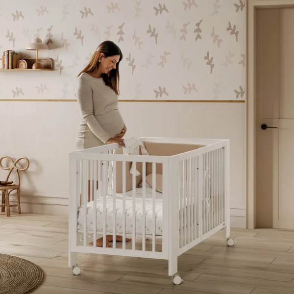 Cuna Evolutiva Micuna