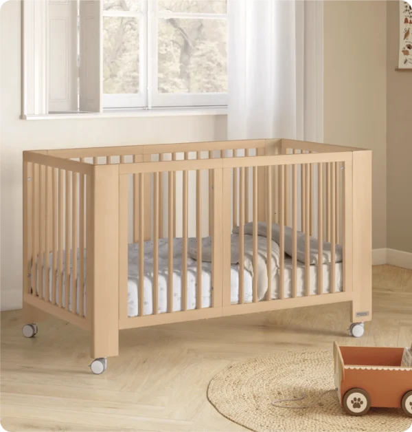 Cuna Evolutiva Micuna
