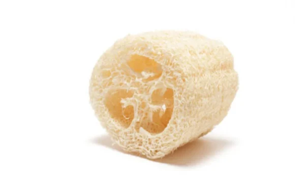 Rodaja Esponja Luffa Grande